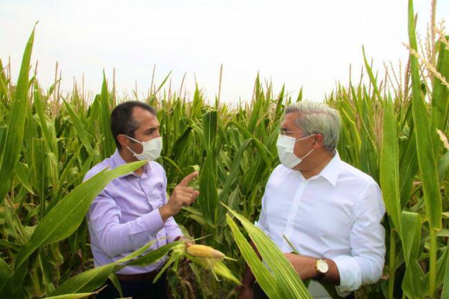 MISIR’A ÜRÜN DESTEĞİ VERİLDİ..