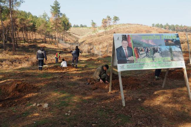 HBB 1 MİLYON FİDAN HEDEFİNE EMİN ADIMLARLA İLERLİYOR 4 BİN 500 FISTIK ÇAMI FİDANI TOPRAKLA BULUŞTU HATAY’IN TOPRAKLARI HBB İLE YEŞİLLENİYOR