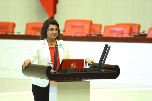 SUZAN ŞAHİN: MESLEKİ TEKNİK ÖĞRETMENLER 20 YILDIR  ATAMA BEKLİYOR !