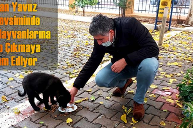 BAŞKAN YAVUZ SOKAK HAYVANLARINI KORUMAYA VE SAHİP ÇIKMAYA DEVAM EDİYOR