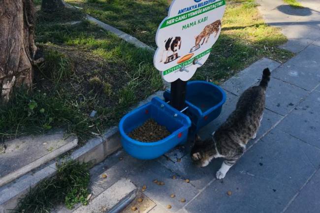 CAN DOSTLARIMIZ İÇİN SU VE MAMA BIRAKIYORUZ 