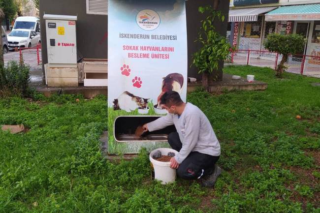 İSKENDERUN BELEDİYESİ SOKAK HAYVANLARINI UNUTMUYOR