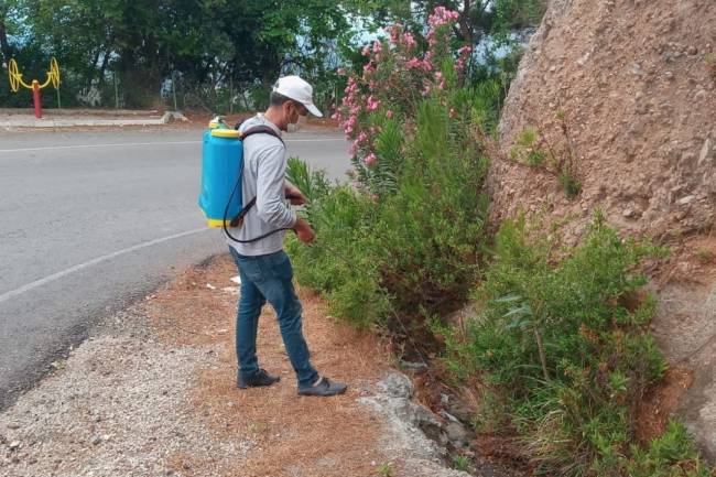 İSKENDERUN BELEDİYESİ LARVA ve UÇKUN MÜCADELESİNİ SÜRDÜRÜYOR