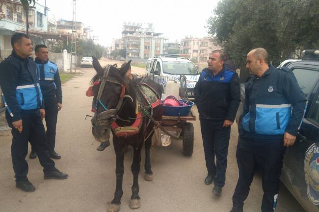 KIRIKHAN BELEDİYE ZABITA MÜDÜRLÜĞÜ AT ARABALARINA YİNE GÖZ AÇTIRMADI