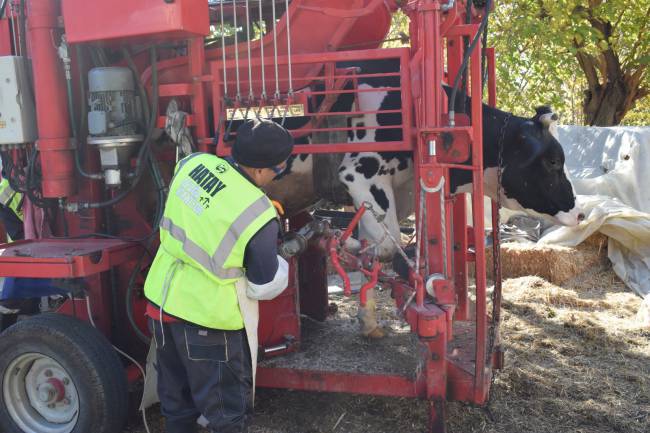 HBB BESİ ÜRETİCİLERİNE DESTEĞİNİ SÜRDÜRÜYOR