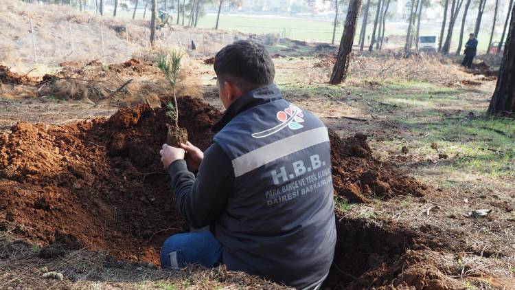 HBB 1 MİLYON FİDAN HEDEFİNE EMİN ADIMLARLA İLERLİYOR 4 BİN 500 FISTIK ÇAMI FİDANI TOPRAKLA BULUŞTU HATAY’IN TOPRAKLARI HBB İLE YEŞİLLENİYOR