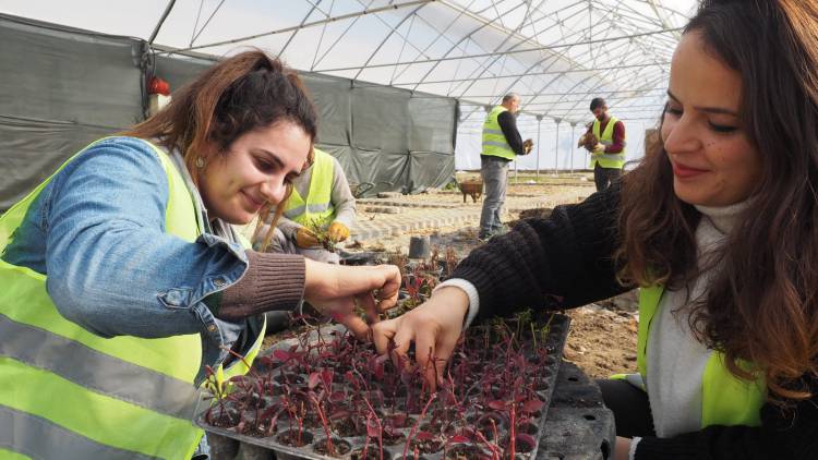HBB ÜRETİYOR HATAY GÜZELLEŞİYOR ŞEHRİN CADDE VE BULVARLARINDA HBB İMZASI VAR HBB’NİN EMEKLERİYLE HATAY ÇİÇEK AÇIYOR