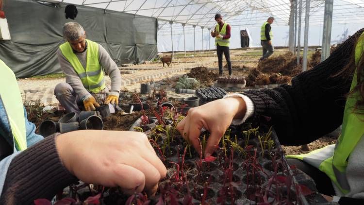 HBB ÜRETİYOR HATAY GÜZELLEŞİYOR ŞEHRİN CADDE VE BULVARLARINDA HBB İMZASI VAR HBB’NİN EMEKLERİYLE HATAY ÇİÇEK AÇIYOR