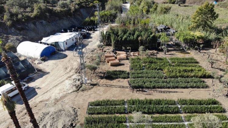 HBB ÜRETİYOR HATAY GÜZELLEŞİYOR ŞEHRİN CADDE VE BULVARLARINDA HBB İMZASI VAR HBB’NİN EMEKLERİYLE HATAY ÇİÇEK AÇIYOR