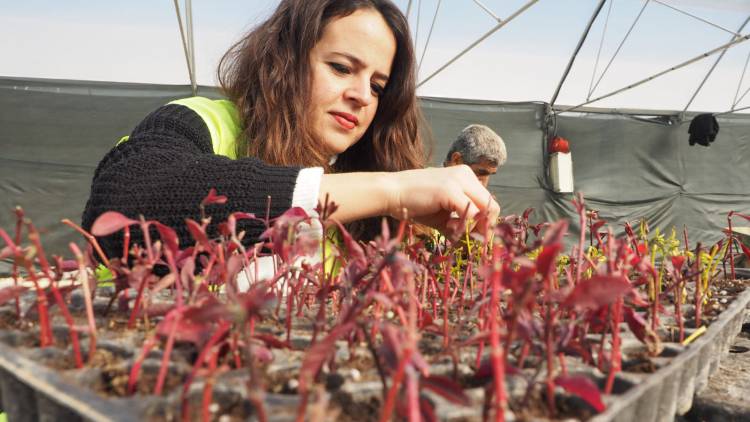 HBB ÜRETİYOR HATAY GÜZELLEŞİYOR ŞEHRİN CADDE VE BULVARLARINDA HBB İMZASI VAR HBB’NİN EMEKLERİYLE HATAY ÇİÇEK AÇIYOR