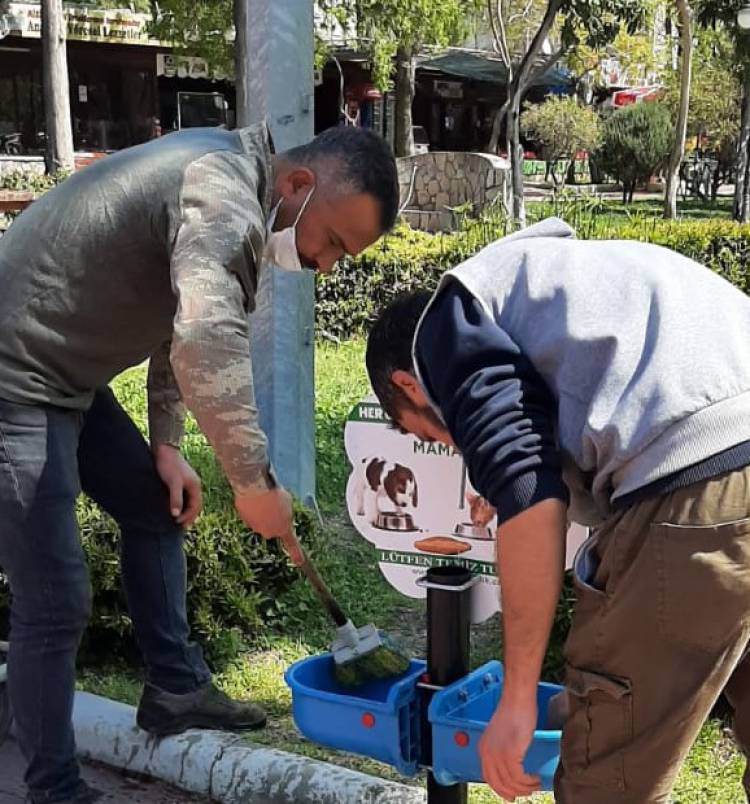 CAN DOSTLARIMIZ İÇİN SU VE MAMA BIRAKIYORUZ 