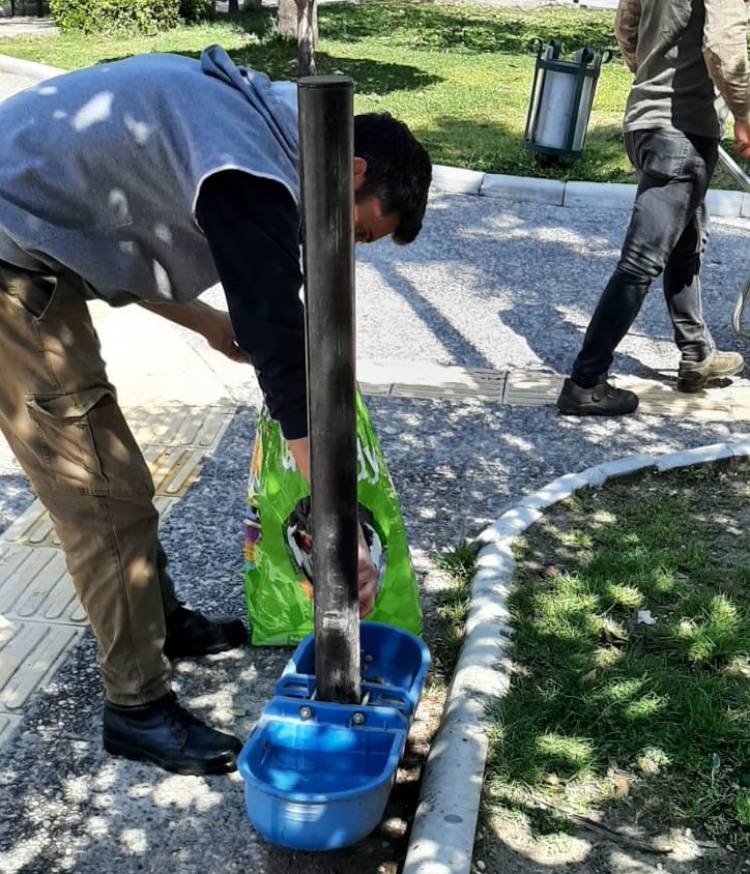 CAN DOSTLARIMIZ İÇİN SU VE MAMA BIRAKIYORUZ 