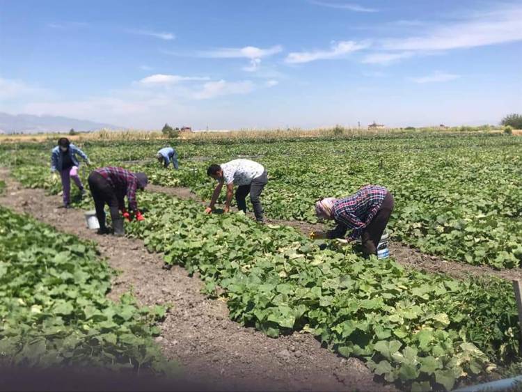 “BU SÜRECİ HEP BİRLİKTE EL ELE VEREREK ATLATACAĞIZ”
