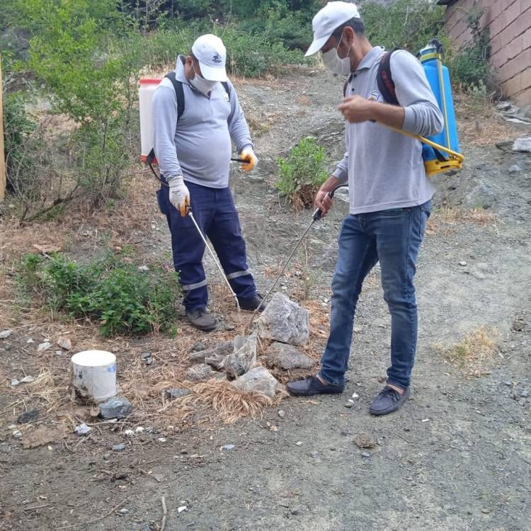 İSKENDERUN BELEDİYESİ LARVA ve UÇKUN MÜCADELESİNİ SÜRDÜRÜYOR