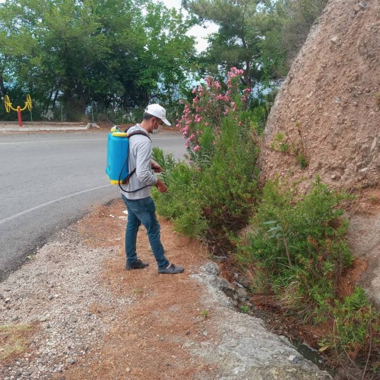 İSKENDERUN BELEDİYESİ LARVA ve UÇKUN MÜCADELESİNİ SÜRDÜRÜYOR