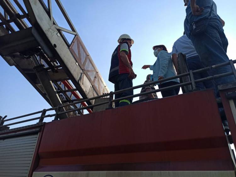 HATAY MİLLETVEKİLİ SUZAN ŞAHİN HATAY DÖRTYOL’DA  ÇIKAN YANGINI YERİNDE İNCELEYEREK AÇIKLAMALARDA  BULUNDU.