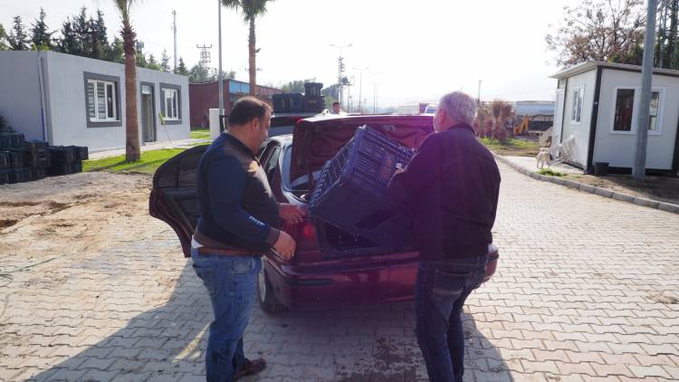 HBB’DEN ÜRETİCİYE ÜCRETSİZ ZEYTİN TOPLAMA KASASI BÜYÜKŞEHİR’DEN ZEYTİN ÜRETİCİSİNE BİR DESTEK DAHA