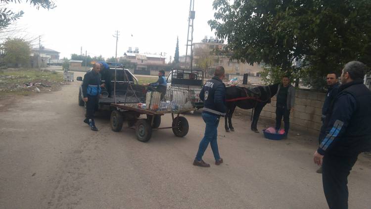 KIRIKHAN BELEDİYE ZABITA MÜDÜRLÜĞÜ AT ARABALARINA YİNE GÖZ AÇTIRMADI