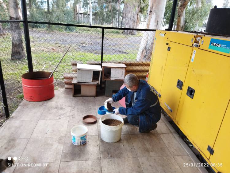 İSKENDERUN BELEDİYESİ SOKAK HAYVANLARINI YALNIZ BIRAKMIYOR