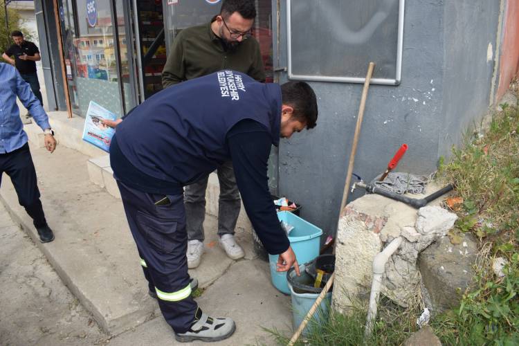 HBB, SİVRİSİNEKLERE KARŞI MÜCADELEDE KARARLI